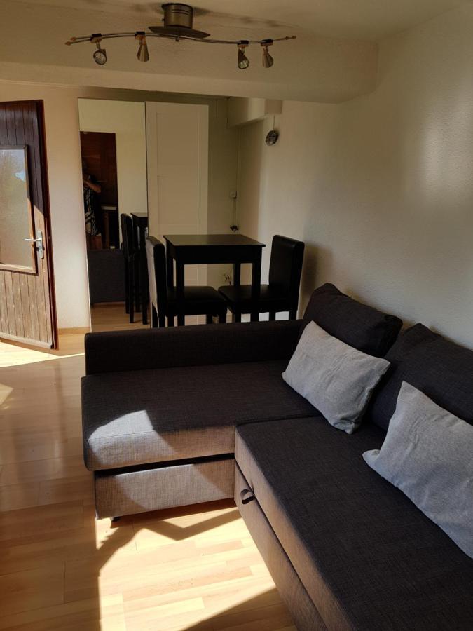 Chalet Le Muguet Villa Ovronnaz Eksteriør bilde